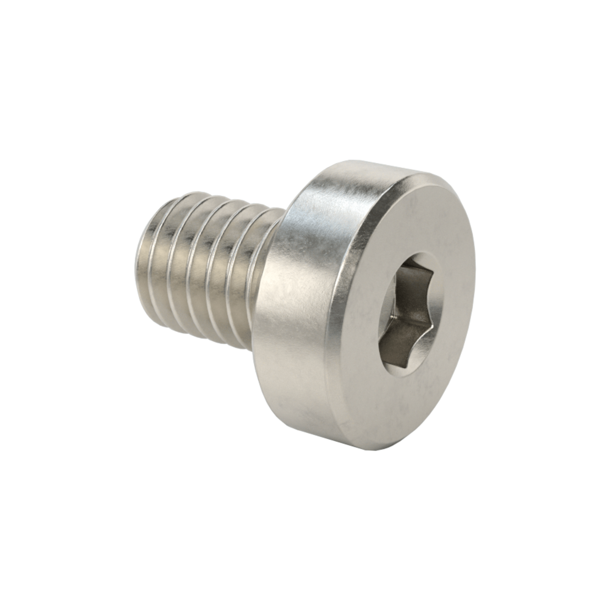Slider Screws (4 pack) M3 x 4mm